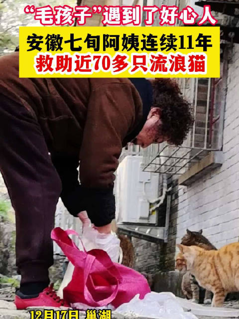 冬天流浪的毛孩子不好过，还好有秦阿姨这样的好心人