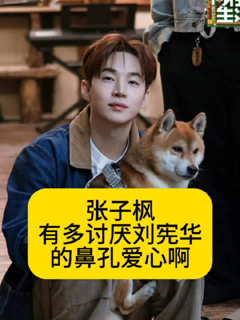 张子枫有多讨厌刘宪华的鼻孔爱心啊