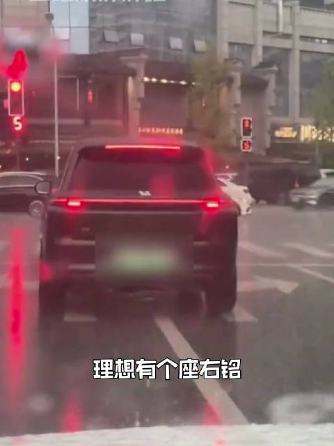 理想这车有点说法（仅供娱乐 无不良引导）搞笑 车主