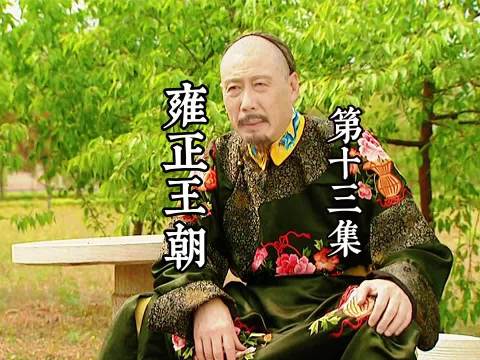 一众官员找康熙诉苦，十阿哥当街抽打田文镜 雍正王朝