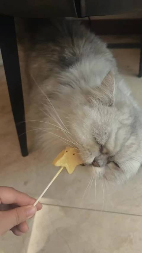 拖拉机吃零食了