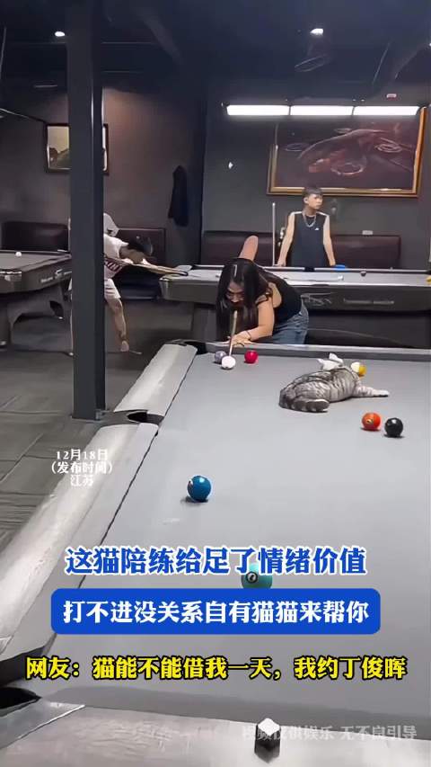 陪练猫为球员提供情绪支持，网友求借约战丁俊晖