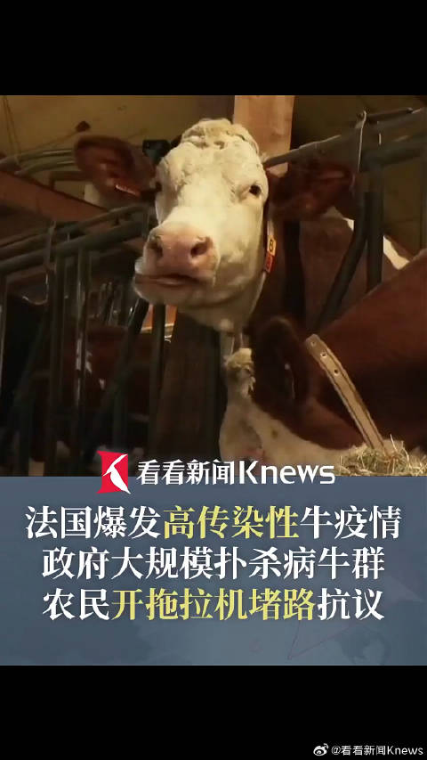 抗议扑杀牛 法农民粪洗政府办公楼