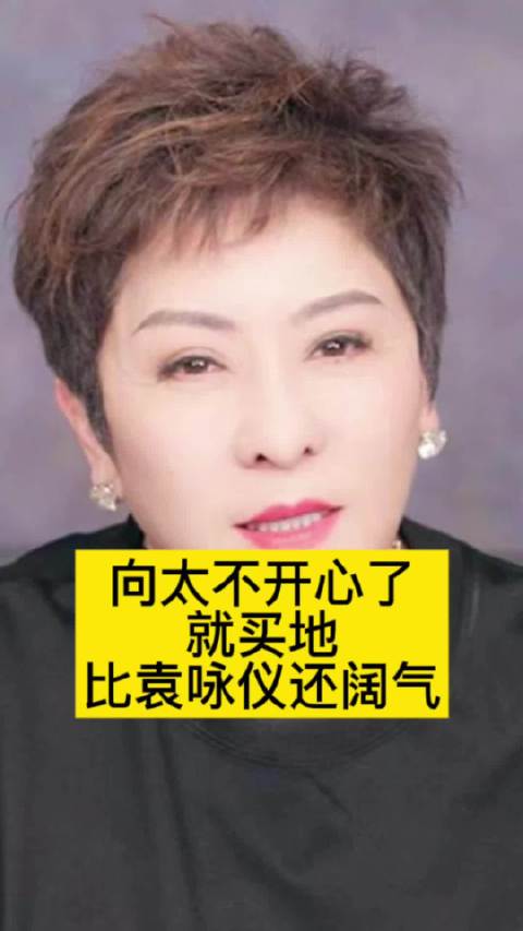 向太不开心了就买地，比袁咏仪还阔气