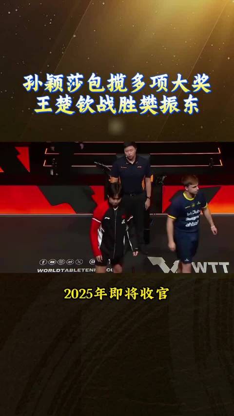 2025体坛名场面：全红婵带伤复出、于子迪破纪录、汪顺19金、巩立姣五连冠