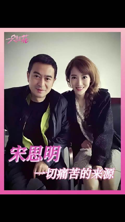 重看《蜗居》海藻角色争议再起