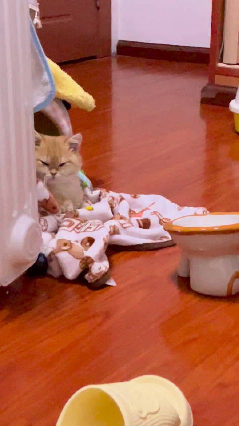 给duang崽困成李荣浩了都