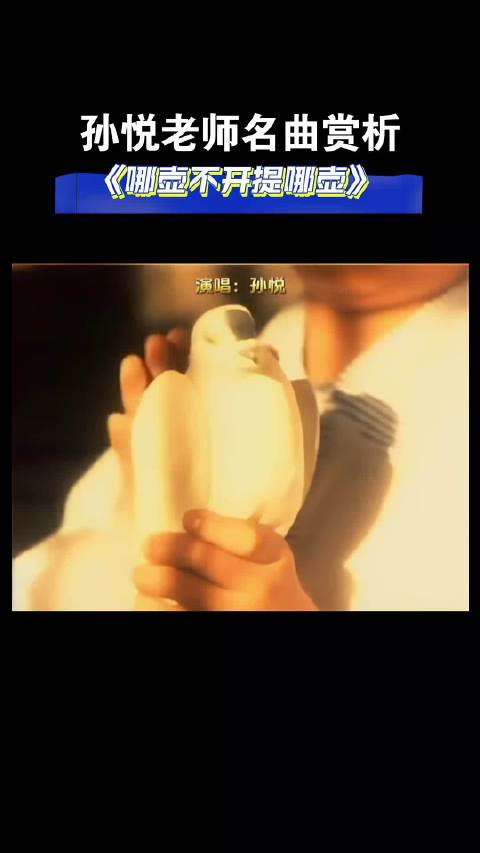 孙悦老师名曲，《哪壶不开提哪壶》