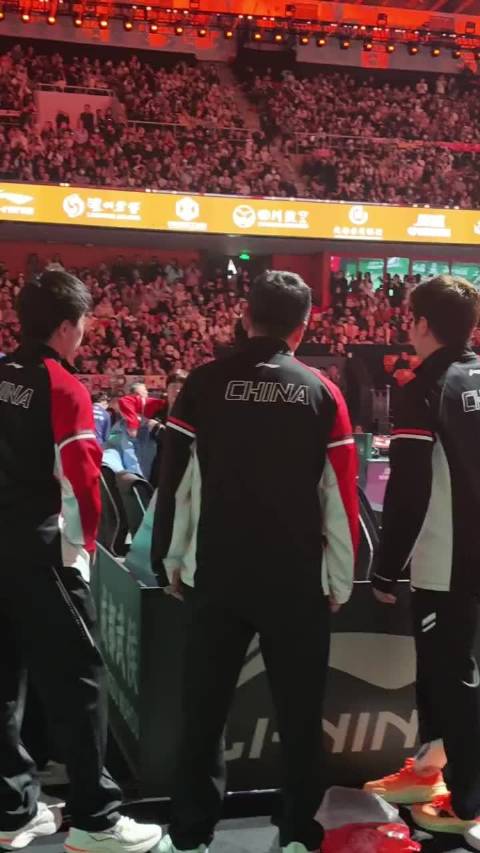 王楚钦赛后对梁靖崑一顿输出