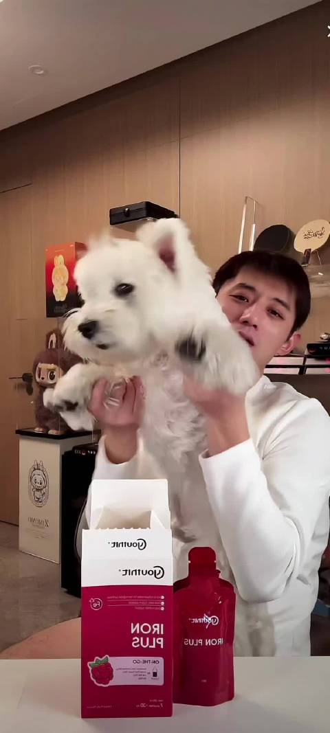 张继科打金牌屁股