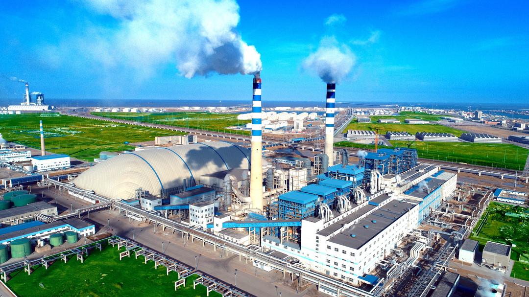 赋能“十四五”绿色发展：东营银行的“绿碳”实践