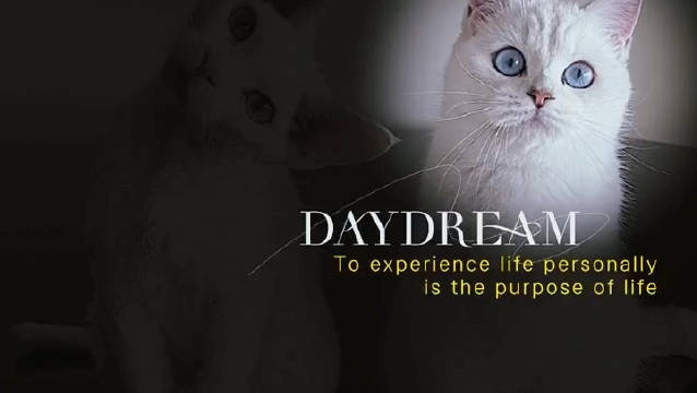 青春奋斗劈波斩浪，志行万里众行致远