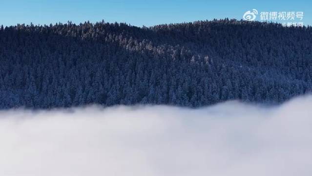 魏大勋歌声中香格里拉晨光美如画
