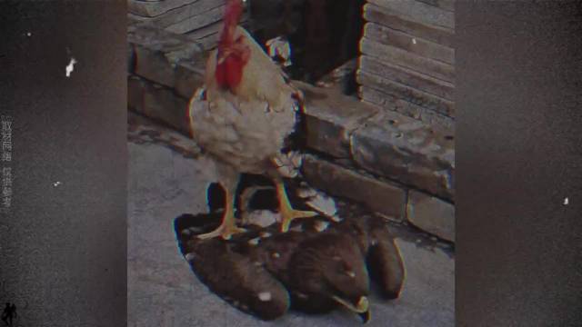 这是找拉帮套的