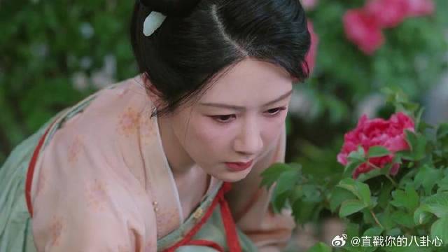 母亲遗物竟被私自挪用，女子彻夜未眠拯救牡丹花