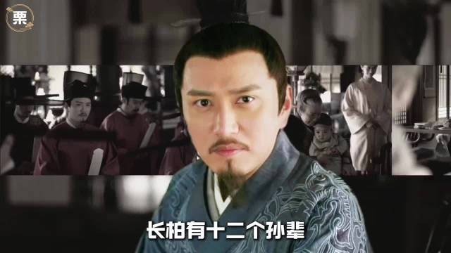 长柏有十二个孙辈，为什么无一人可堪大任？
