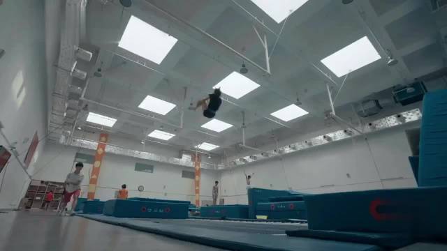 陈芋汐以极致自律稳居世界跳水之巅