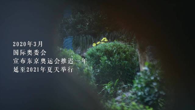 汪顺称东京奥运延期是重生机会，27岁夺金创全运会纪录