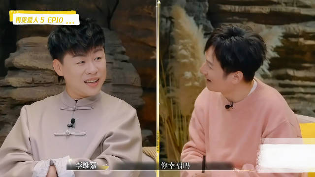 《再见爱人5》维嘉问题胡彦斌你幸福吗？