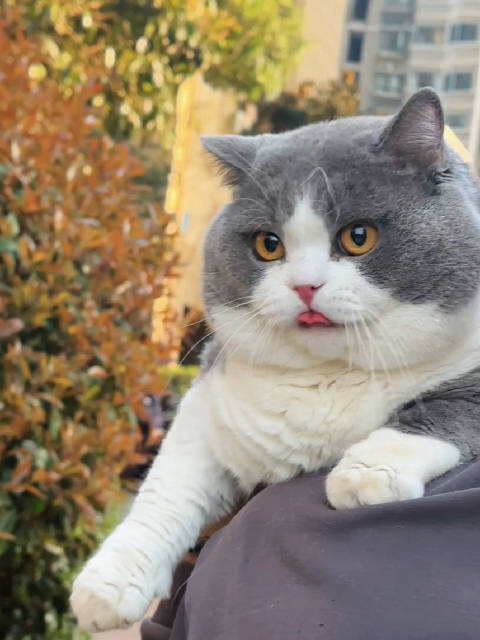 看得出来，你们两天下第一好！