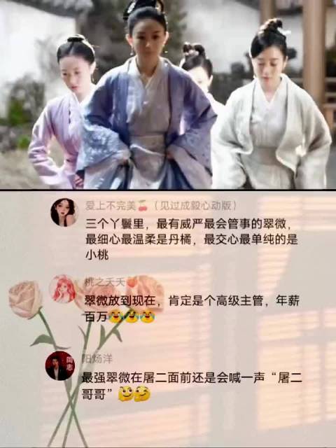 明兰的最强闺蜜团 知否知否应是绿肥红瘦