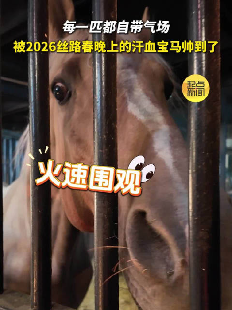 自带气场！被一匹匹汗血宝马帅到了