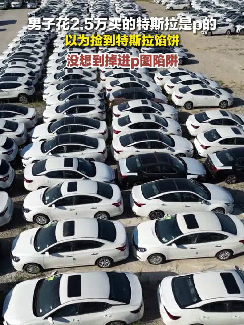 男子花2.5万买的特斯拉是p的
