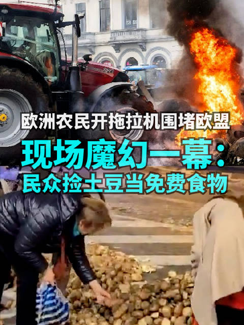 欧洲农民开拖拉机围堵欧盟，现场魔幻一幕：民众捡土豆当免费食物