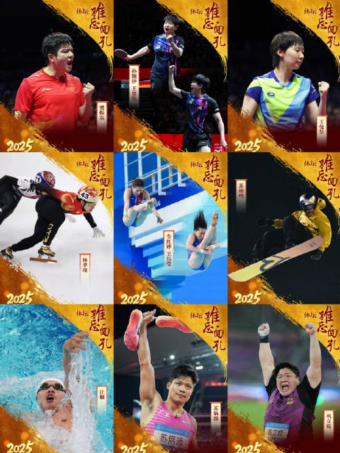 樊振东王曼昱全运会夺冠，王楚钦孙颖莎世乒赛摘金