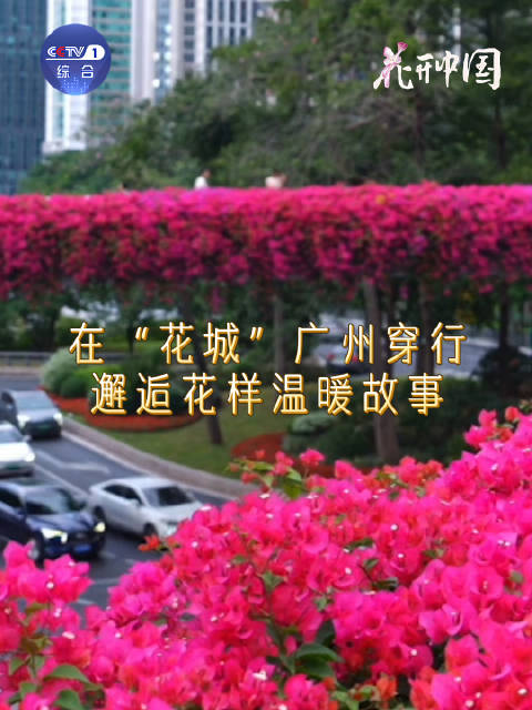 12月20日CCTV-1播花开中国，邀您云游广州花城