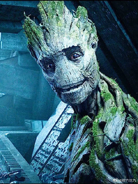 火箭随手捡的小树枝可以长成小格鲁特而雷神战斧的斧柄却不可以呢