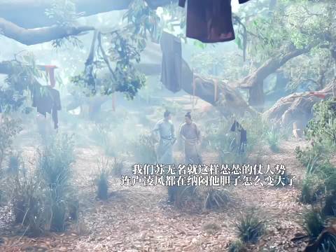 苏无名团宠实锤了，真的每一个人都好宠他，每一个都好好嗑啊