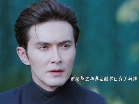 当年是毕之救下了年幼的苏北陆二人早已有了羁绊 高伟光