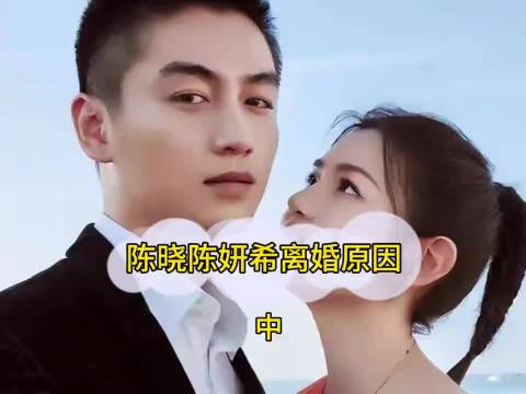 陈晓陈妍希离婚近一年，业内聚焦性格冲突与育儿合作