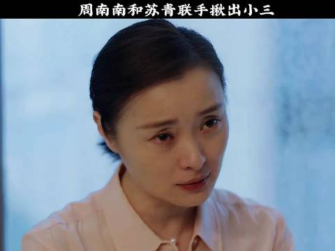 苏青周南南联手揪出小三竟是最信任之人