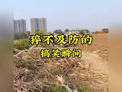 手扶拖拉机是真不好开