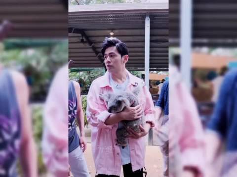 周杰伦穿粉色外套抱无尾熊展现温柔奶爸形象