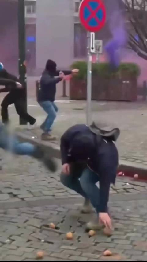 农民抗议升级，布鲁塞尔爆发冲突