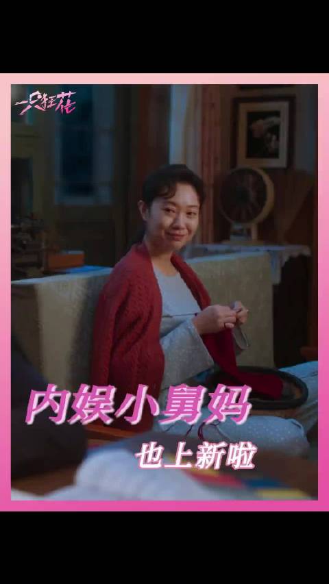 王佳佳演绎东北小舅妈获赞