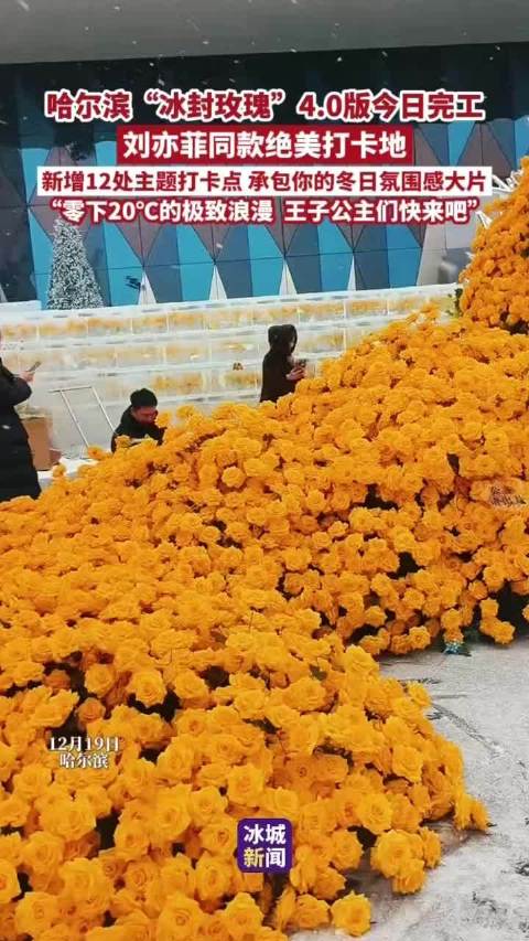 哈尔滨冰封玫瑰4.0版完工，新增12处主题打卡点