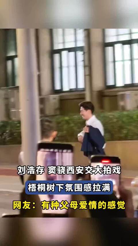 梧桐树下浪漫不断，窦骁刘浩存甜蜜互动吸睛，爱情片段让人心动瞩目