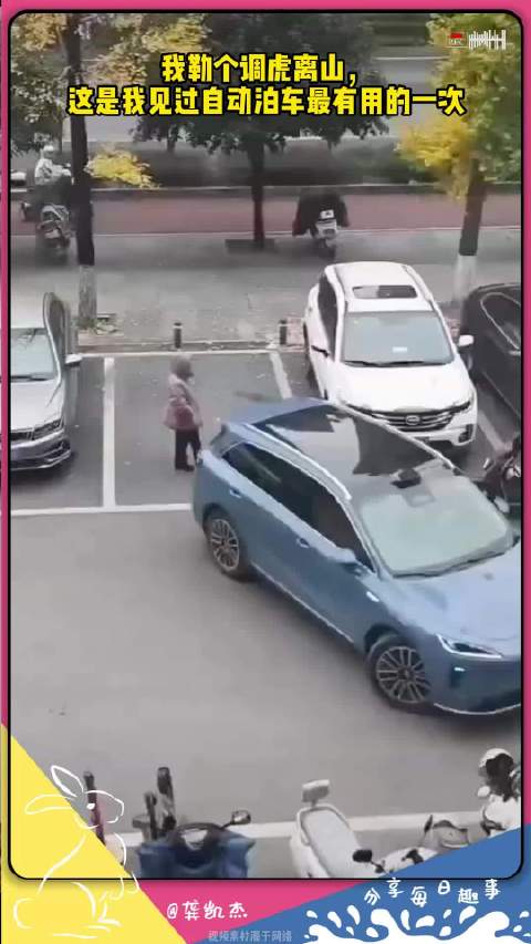 我勒个调虎离山，这是我见过自动泊车最有用的一次