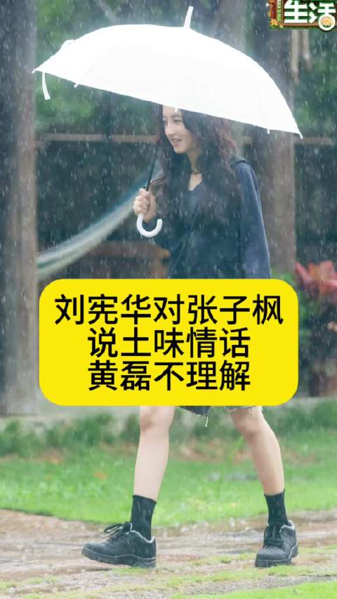 刘宪华对张子枫说土味情话，黄磊不理解