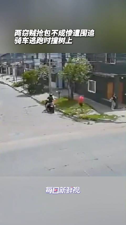 笑不活了！2窃贼抢包失败撞树惨遭围殴
