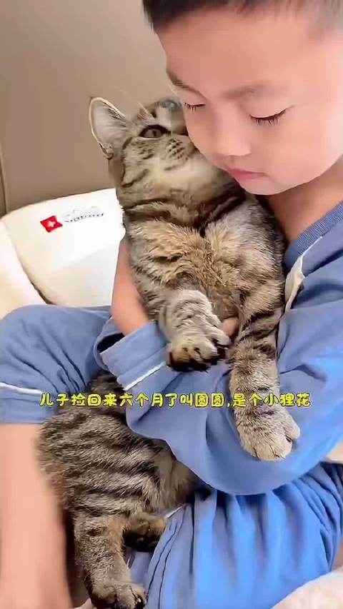 自己捡回来的小猫自己宠， 和小猫贴贴再也没有起床气了， 徐璐白裙好美