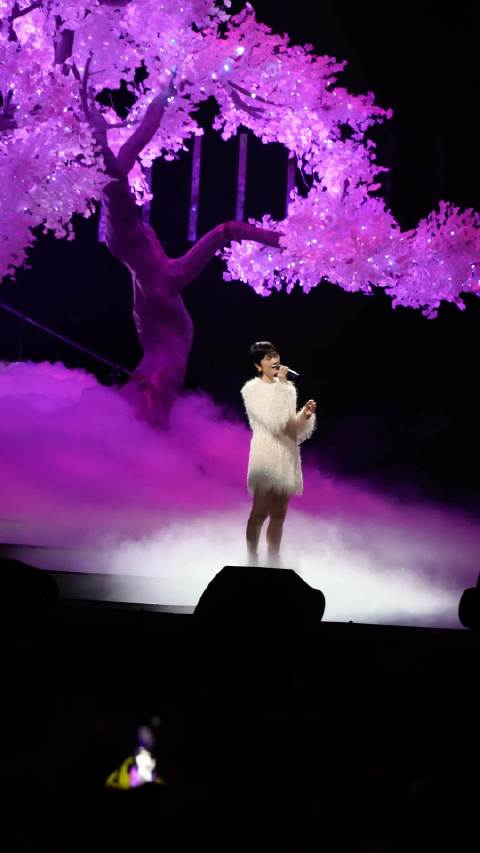 跟随李宇春在四川卫视花开天下新年演唱会一起《回春天》