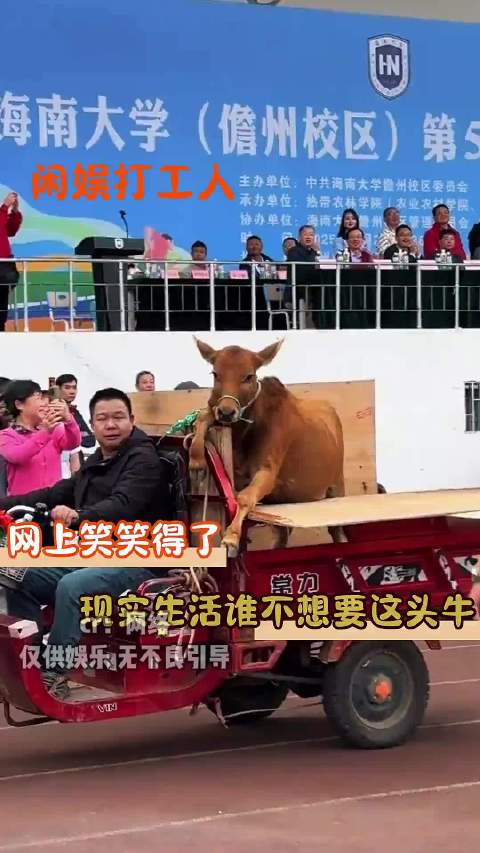 网上笑笑得了，现实生活里谁不想要