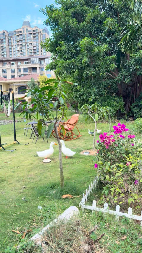 湖南卫视跨年演唱会嘉宾阵容曝光，陈伟霆黄景瑜等将亮相