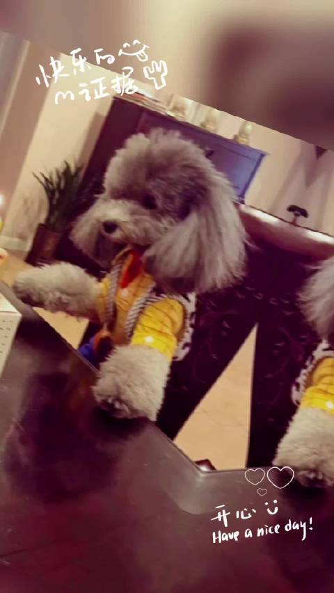 ♡ᵕ̈ʜᵅᵖᵖᵞʙⁱʳᵗᵈᵃᵞ ︎ ʜᴀ͟ᴘ͟ᴘ͟ʏ ᴇᴠᴇʀʏᴅᴀʏ̆̈…