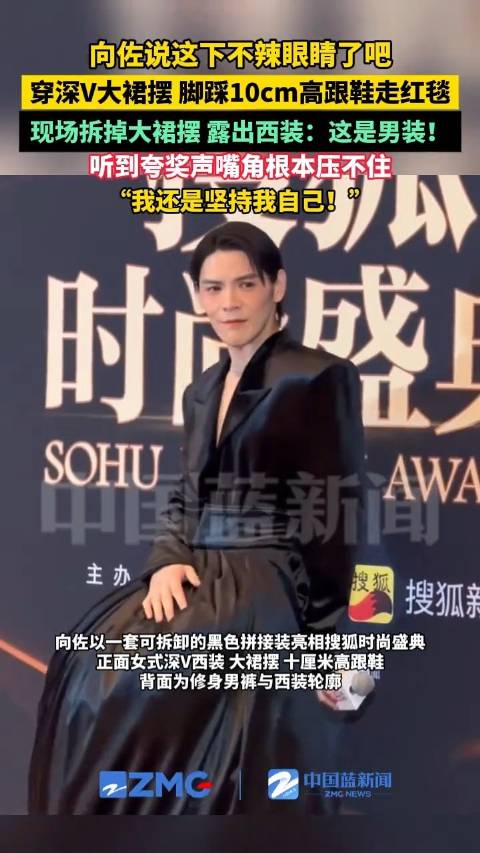 向佐说这次红毯造型不辣眼睛了吧